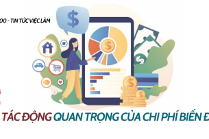 Variable cost là gì? 4 tác động quan trọng của chi phí biến đổi tới doanh nghiệp