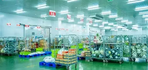 Top 9 công ty kho lạnh bảo quản thực phẩm an toàn và chất lượng