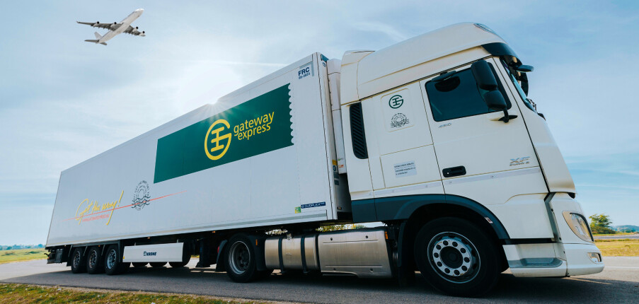 TOP 15 công ty logistics chuyên tuyến quốc tế Việt Nam – Mỹ chất lượng