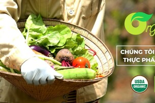 Top 10 công ty bán lẻ trực tuyến nội địa cạnh tranh với thương hiệu ngoại tại Việt Nam