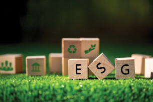 Top 10 công ty tư vấn phát triển bền vững (ESG) cho doanh nghiệp TMĐT và logistics