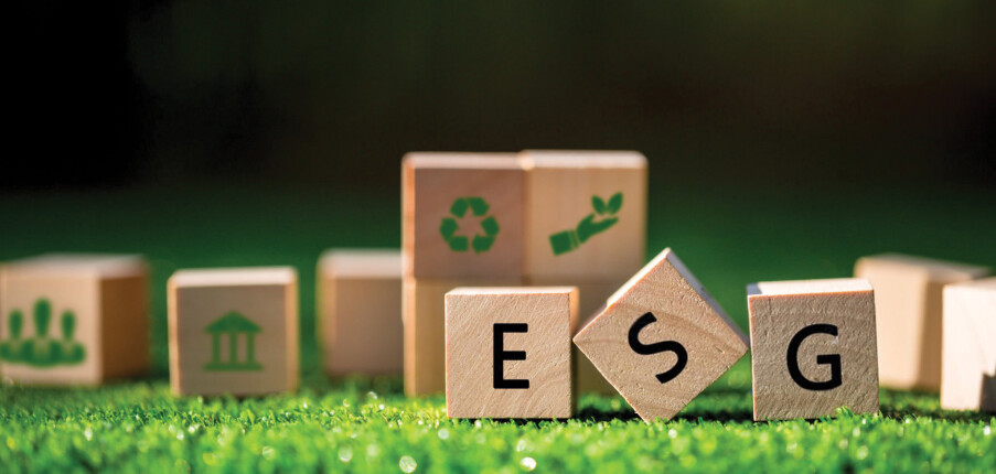 Top 10 công ty tư vấn phát triển bền vững (ESG) cho doanh nghiệp TMĐT và logistics