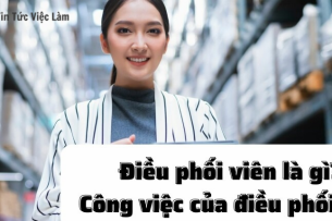Điều phối viên là gì? Mô tả chi tiết công việc của điều phối viên 