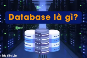 Database là gì? Các mô hình Database phổ biến
