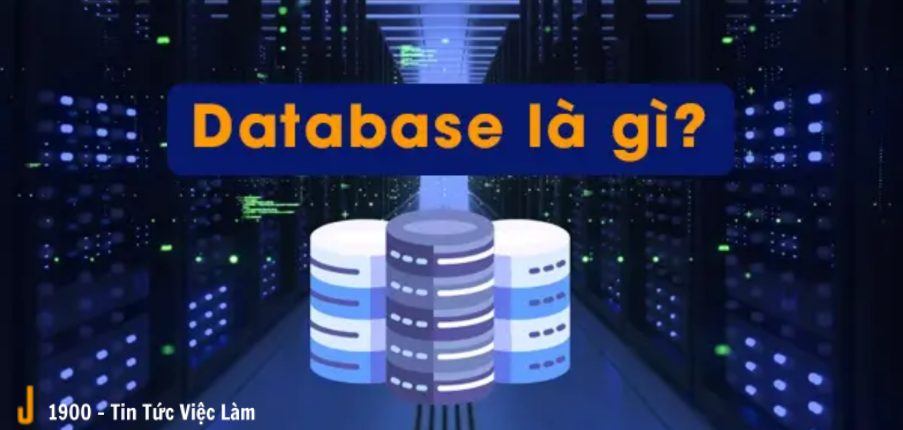Database là gì? Các mô hình Database phổ biến