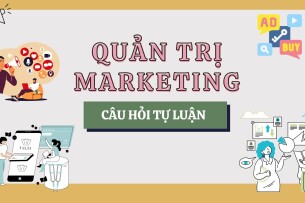 Chiến lược tấn công đối thủ trong Marketing | Câu hỏi tự luận ôn tập học phần Quản trị Marketing (2025)
