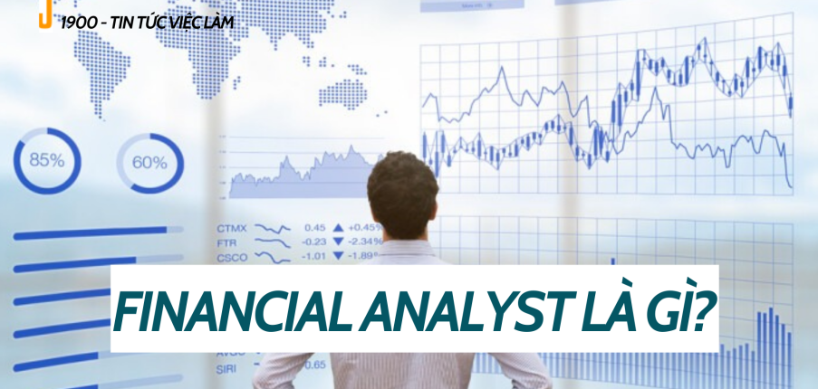 Financial Analyst là gì? Quy trình tổ chức công tác phân tích tình hình tài chính