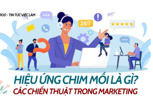 Hiệu ứng chim mồi là gì ? Các chiến thuật hiệu ứng chim mồi trong marketing