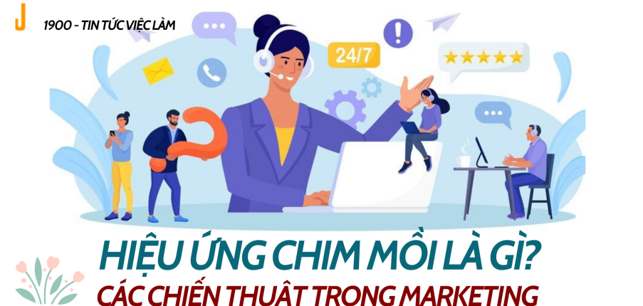 Hiệu ứng chim mồi là gì ? Các chiến thuật hiệu ứng chim mồi trong marketing