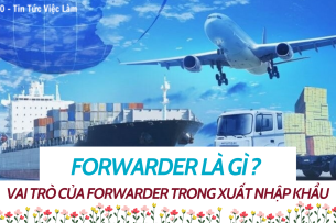 Forwarder là gì ? Vai trò của Forwarder trong xuất nhập khẩu