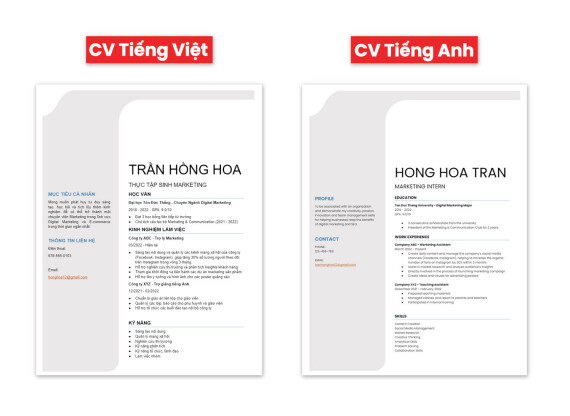 Mẫu CV xin thực tập ngành marketing