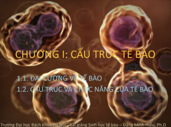 Tài liệu VietJack