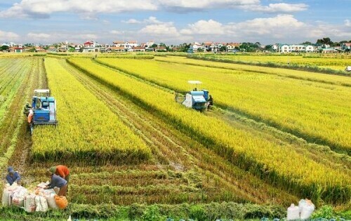 Tài liệu VietJack