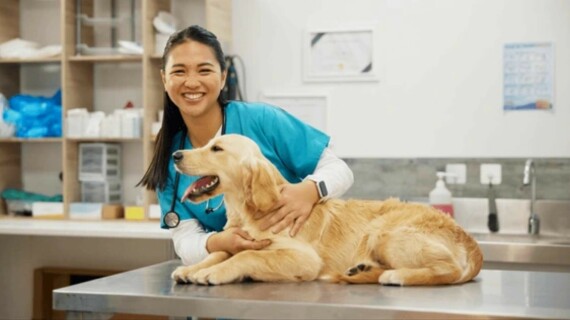 Tài liệu VietJack