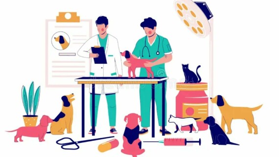 Tài liệu VietJack